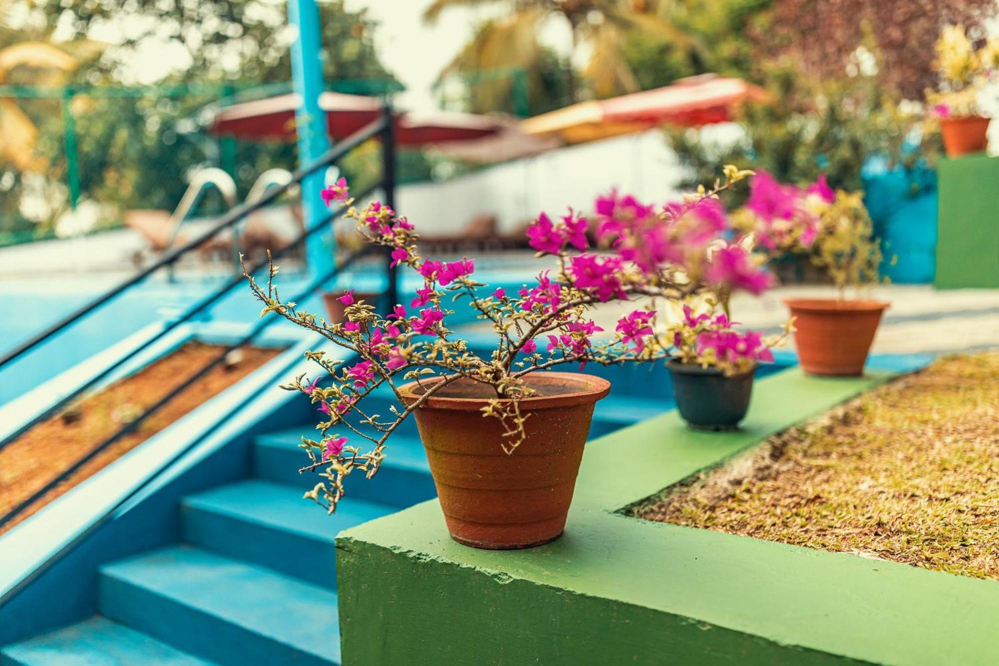 Villa Talpe Εξωτερικό φωτογραφία